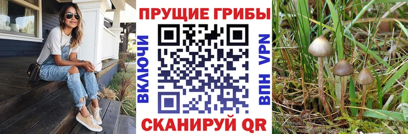 Псилоцибиновые грибы ЛСД  цены наркотик  Щёкино 