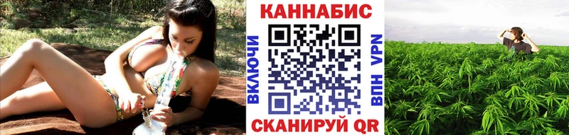 Бошки Шишки Amnesia Щёкино